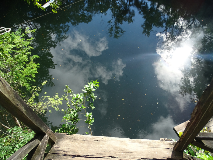 DSC00013 (700x525, 471Kb)