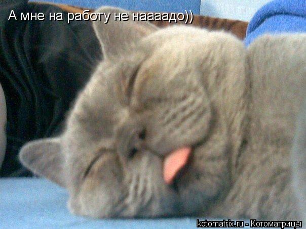 4743317_4V (604x453, 45Kb)