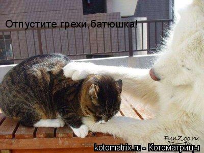 4743317_px (400x300, 27Kb)