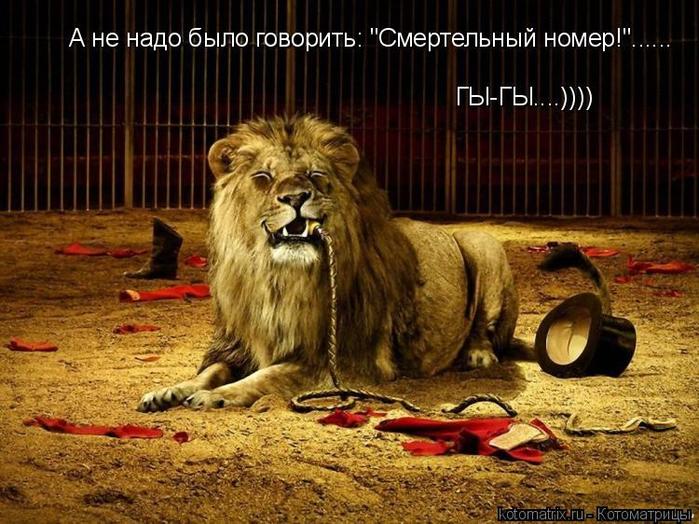 4743317_hC (700x524, 79Kb)