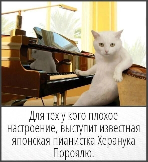 https://img0.liveinternet.ru/images/attach/d/4/160/759/160759664_4743317_image20231005_14_26_25.jpg