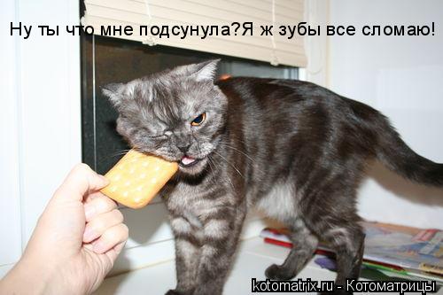 4743317_kB (500x333, 29Kb)