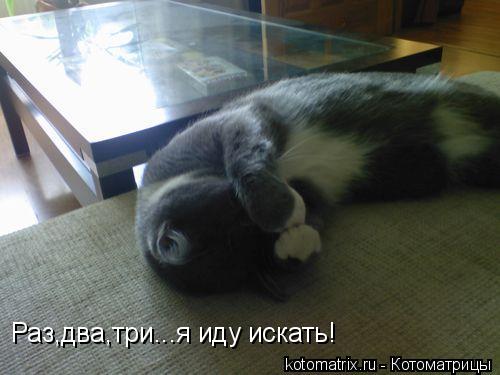 4743317_KM (500x375, 28Kb)