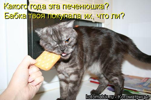 4743317_cD (500x333, 33Kb)