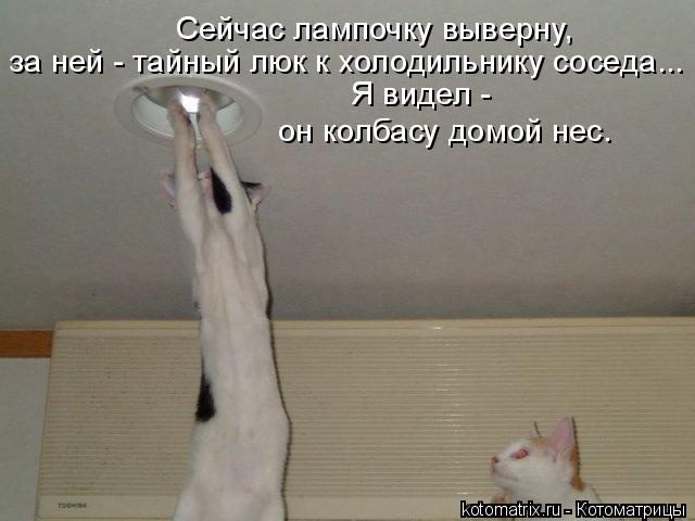 4743317_w1 (640x480, 39Kb)