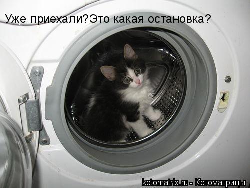 4743317_1k (500x375, 30Kb)