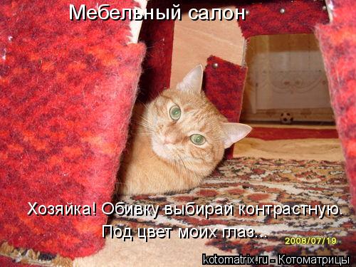 4743317_5J (500x375, 49Kb)