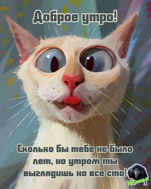 4743317_eb54ac3a (512x640, 58Kb)