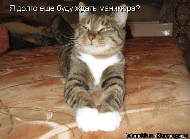 4743317_Cu (640x468, 46Kb)