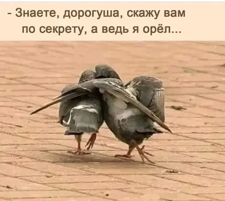 4743317_i_jpegril (461x411, 48Kb)