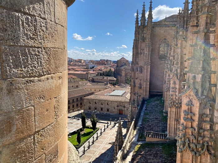 visiting-Salamanca-Cathedral-Tower-Tour-28 (900x725, 179Kb)