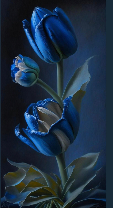 tumblr_b270eaa1c2e64bc377c97bb6143036e8_f2a9312e_1280 (381x700, 230Kb)