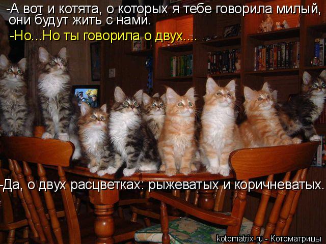 4743317_c (640x480, 67Kb)