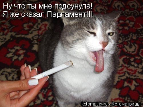 4743317_8g (500x375, 36Kb)