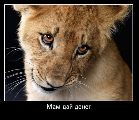 4743317_i_2_jpegrpp (477x411, 59Kb)