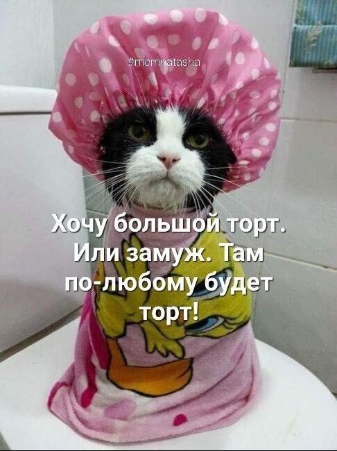 4743317_i_jpegvi (486x650, 64Kb)
