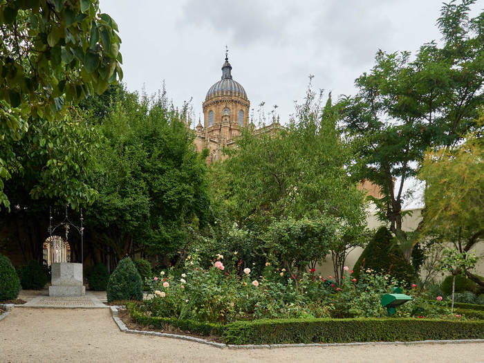 p9140202-salamanca-spanien-littlediscoveries_net_1 (900x725, 95Kb)