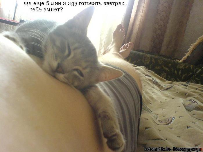 4743317_ld (700x524, 41Kb)