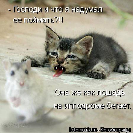 4743317_hN (450x450, 35Kb)