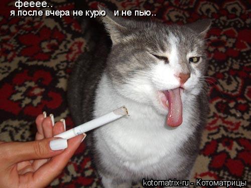 4743317_H (500x375, 34Kb)