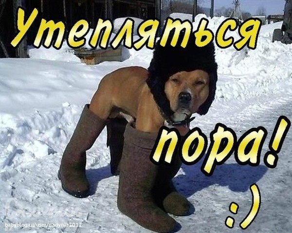 4743317_673d899a81ad08873388b3e3c8704ef8 (600x478, 86Kb)