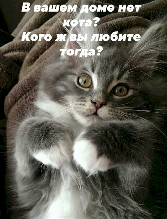 4743317_9d3c4b47 (533x700, 263Kb)