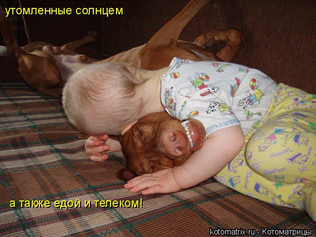 4743317_zo (640x480, 66Kb)