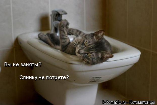 4743317_fw (622x414, 24Kb)