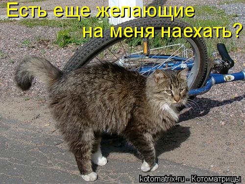 4743317_Uh (500x375, 55Kb)