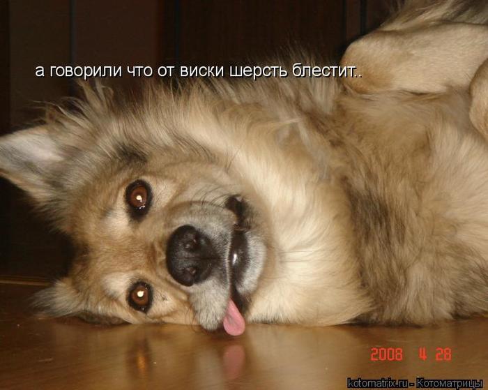 4743317_ro (700x559, 47Kb)
