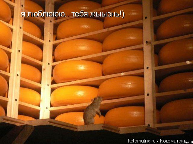 4743317_g (640x480, 45Kb)