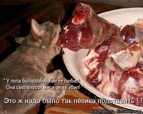 4743317_Ms (600x480, 64Kb)