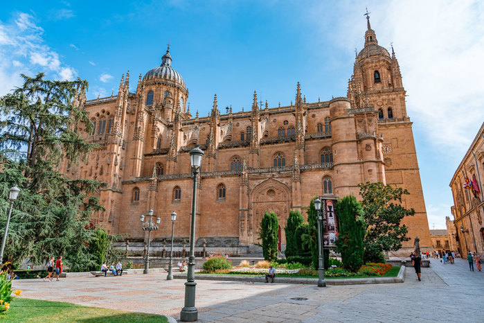 salamanca-cathedrals-2 (900x666, 130Kb)