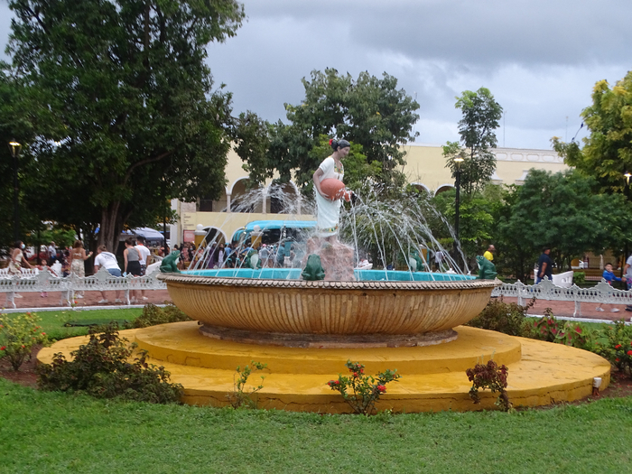 DSC00322 (700x525, 480Kb)