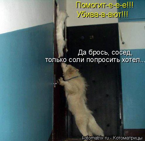 4743317_lq (496x480, 32Kb)