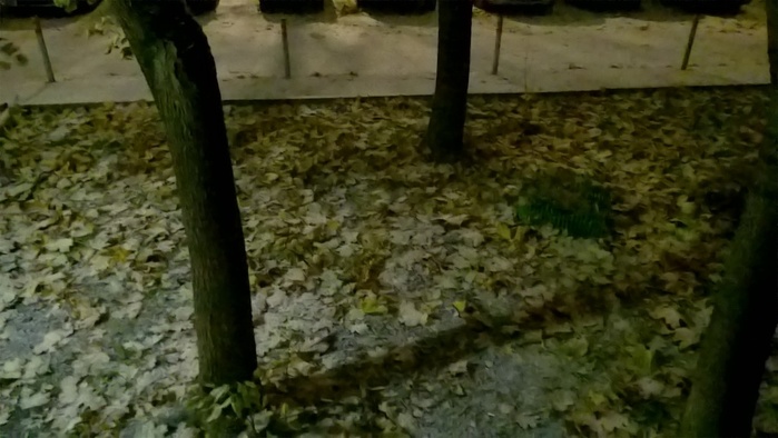 WP_20231027_00_05_48_Pro (700x394, 97Kb)
