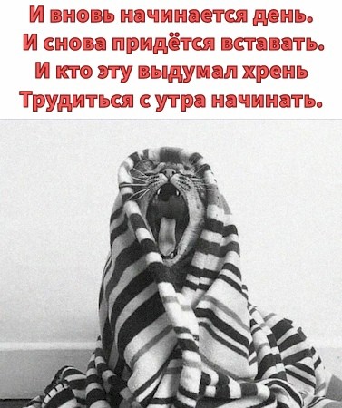 4743317_10bc22c0_1_ (377x450, 51Kb)