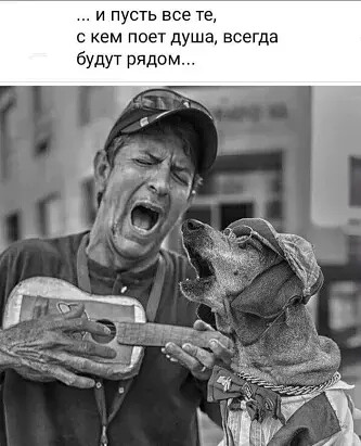 4743317_i_1_jpegtim (333x411, 40Kb)