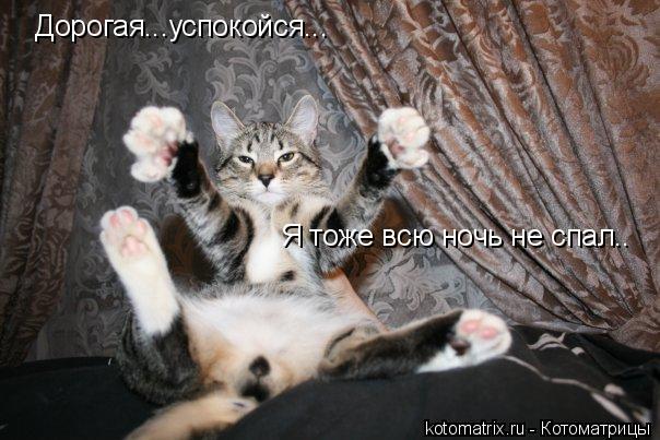 4743317_RO (604x403, 53Kb)