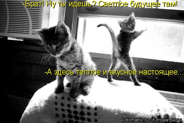 4743317_Ml (640x427, 50Kb)