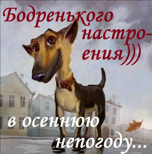 4743317_123096168_1_ (493x500, 83Kb)