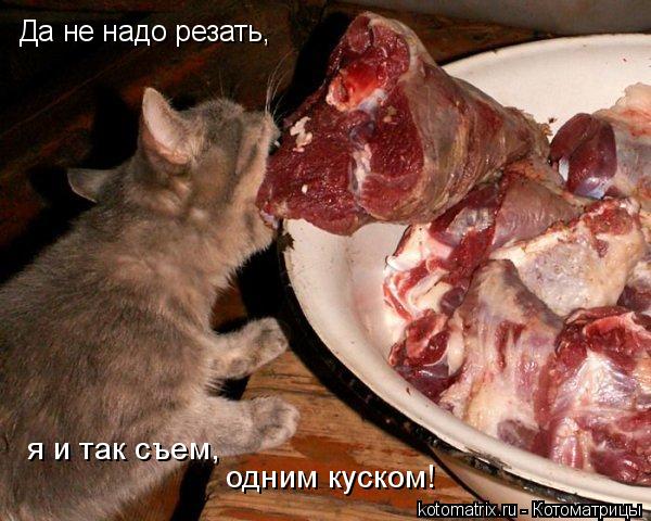 4743317_Bs (600x480, 61Kb)