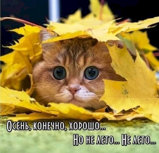 4743317_03cabf26 (526x505, 55Kb)