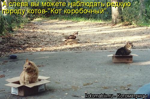 4743317_z3 (500x333, 45Kb)