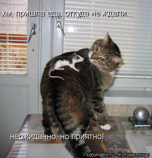 4743317_Fn (500x520, 47Kb)