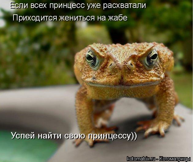 4743317_XH (630x530, 54Kb)
