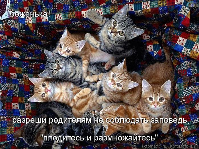 4743317_3D (700x524, 109Kb)