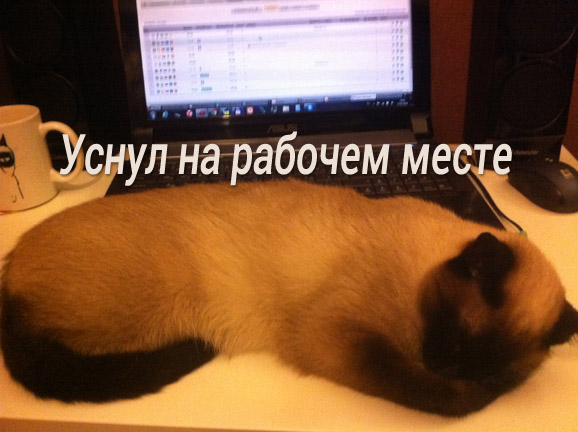 4743317_images_2393 (578x432, 84Kb)