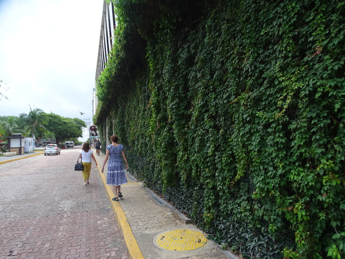 DSC00365 (700x525, 479Kb)