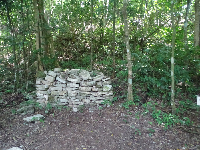 DSC00390 (700x525, 544Kb)